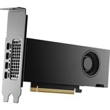 NVIDIA® RTX 2000 Ada 16 GB, Carte graphique En vrac