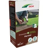DCM Semences de gazon Plus Recovery 1,2 kg, Graines Jusqu'à 80 m²