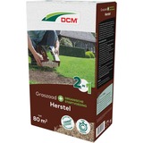 DCM Semences de gazon Plus Recovery 1,2 kg, Graines Jusqu'à 80 m²