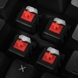 Sharkoon Skiller Mech SGK3 RGB clavier gaming mécanique Noir, Layout US (QWERTY), Kailh Red, 100%, LED RGB