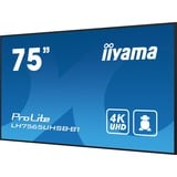 iiyama ProLite LH7565UHSB-B1, Affichage public Noir