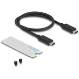 DeLOCK Boîtier de disque M.2 NVMe USB 40 Gbps style gaming, Boîtier disque dur Gris