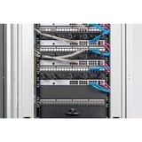 Digitus Panneau vierge 19" 2 U, Finition Noir