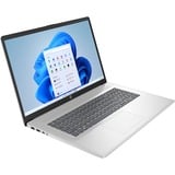 HP 17 (cn4009nb) 17.3" PC portable Argent | Core 3 100U | Intel Graphics | 8 Go | 512 Go SSD
