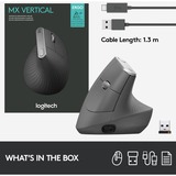 Logitech MX Vertical business , Souris Noir/Argent, 400 - 4000 ppp, Unifying, Bluetooth, USB