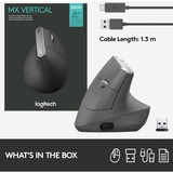 Logitech MX souris ergonomique vertical Noir/Argent, 400 - 4000 dpi, Unifying, Bluetooth, USB