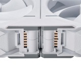 Phanteks D30-120 PWM Regular, Ventilateur de boîtier Blanc, 3 pièces, connecteur de ventilateur PWM à 4 broches