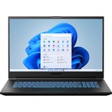 Medion ERAZER Defender P15 MD62305 17.3" pc portable gaming Noir | Ryzen 7 5800H | RTX 3060 | SSD 16 Go | 1 To
