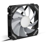 Sharkoon SHARK Mirror RGB PWM, Ventilateur de boîtier Noir, 4 broches PWM