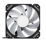 Sharkoon SHARK Mirror RGB PWM, Ventilateur de boîtier Noir, 4 broches PWM