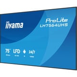 iiyama Iiya 75 LH7564UHS-B1AG 60Hz 4K VA, Affichage public Noir