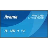 iiyama ProLite LH7564UHS-B1AG, Affichage public Noir, HDMI, LAN, WiFi, audio, USB, Android 14