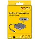 DeLOCK Station d'accueil USB Type-C Gris