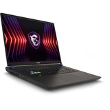 MSI Vector 17 HX (A14VHG-644BE) 17" PC portable gaming Gris | Core i9-14900HX | RTX 4080 | 32 Go | 1 To SSD | 240 Hz