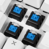 Sharkoon SKILLER SGK3, clavier gaming Blanc, Layout États-Unis, Kailh Blue