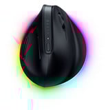 Razer RZ01-05250100-R3G1, Souris gaming Noir