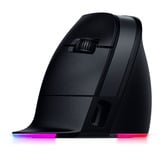 Razer RZ01-05250100-R3G1, Souris gaming Noir