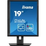 iiyama ProLite B1980S-B1 19" Moniteur Noir, 1x DisplayPort, 1x HDMI