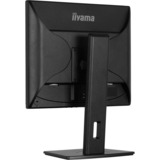 iiyama ProLite B1980S-B1 19" Moniteur Noir, 1x DisplayPort, 1x HDMI