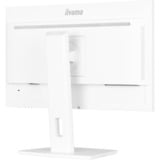 iiyama  23.8" Moniteur  Blanc