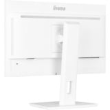 iiyama  23.8" Moniteur  Blanc