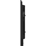 iiyama  54.6" 4K UHD Moniteur  Noir