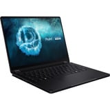 ASUS ProArt GoPro Edition PX13 (HN7306EAC-LX089X) 13.3" PC portable Copilot+  Noir | Ryzen AI MAX+ 395 | Radeon Graphics | 128 Go | 2 To SSD