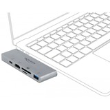 DeLOCK Station d'accueil pour MacBook avec 4K et PD 3.0 Gris
