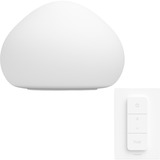 Philips Hue White Ambiance Wellner, Lampe à LED Blanc, 2200K - 6500K, Dimmable