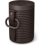 Bang & Olufsen Haut-parleur Noyer