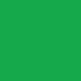 Cricut Infusible Ink Sheets - Green, Matériel d'impression Vert, 30 x 30 cm