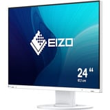 EIZO FlexScan EV2410R 24.1" Moniteur  Blanc, HDMI, DisplayPort, DVI-D, VGA, 4x USB-A, USB-B
