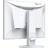 EIZO FlexScan EV2410R 24.1" Moniteur  Blanc, HDMI, DisplayPort, DVI-D, VGA, 4x USB-A, USB-B