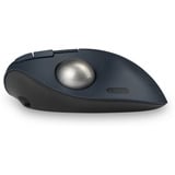 Kensington Pro Fit Ergo TB550 Trackball Noir, 400 - 1600 DPI, Bluetooth, 2,4 GHz