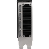 NVIDIA® RTX 6000 ADA 48 Go, Carte graphique 4x DisplayPort