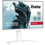 iiyama G-Master Red Eagle GB2470HSU-W6 24" Moniteur gaming  Blanc, HDMI, DisplayPort, USB, Audio