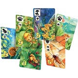 Asmodee Meadow, Jeu de société Néerlandais, Français