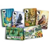 Asmodee Meadow, Jeu de société Néerlandais, Français