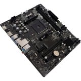 Biostar A520MT carte mère socket AM4 Noir, Gb-LAN, Sound, µATX