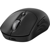 HP 700, Souris Noir, 1200 dpi
