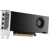 NVIDIA® RTX 2000 Ada 16 GB, Carte graphique 