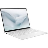 ASUS ZenBook S14 OLED (UX5406AA-QJ045W) 14" PC portable Copilot+  Gris clair | Core Ultra 9 386H | Intel Graphics | 32 Go | 1 To SSD