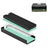 DeLOCK Dissipateur thermique pour M.2 SSD 2280 Noir