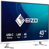EIZO FlexScan EV4340X-WT 42.5" 4K Ultra HD Moniteur Blanc, 1x DisplayPort, 2x HDMI, 2x USB-C, 2x USB-A, 1x RJ-45