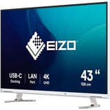 EIZO FlexScan EV4340X-WT 42.5" 4K Ultra HD Moniteur Blanc, 1x DisplayPort, 2x HDMI, 2x USB-C, 2x USB-A, 1x RJ-45