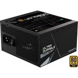 GIGABYTE GP-UD750GM PG5 750W alimentation  Noir, 1x 12VHPWR, 4x PCIe, Gestion des câbles