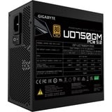 GIGABYTE GP-UD750GM PG5 alimentation  modulaire 750 watt Noir, 1x 12VHPWR, 4x PCIe, 750 W, 100 - 240 V, 12 A, Actif, 105 W, 732 W