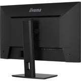 iiyama ProLite XB3294UHSCP-B1 31.5" 4K UHD Moniteur gaming  Noir, HDMI, DisplayPort, USB-C, LAN, Audio