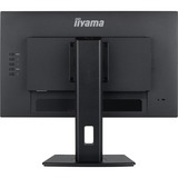 iiyama  ProLite XUB2492HSU-B6 23.8" Moniteur Noir (Mat), HDMI, DisplayPort, USB, Audio
