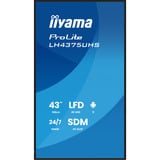 iiyama ProLite LH4375UHS-B2AG, Affichage public Noir (Mat), 3x HDMI | 1x DisplayPort | LAN | WiFi | 24/7